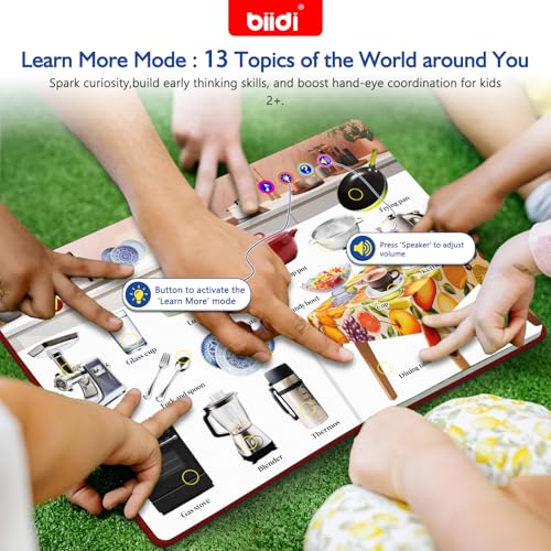 English Interactive Sound Book Words Audio Book Toy Gift Toddlers Kids 2-5 | English Learning Educational Travel Toy Recharge Talking Book Birthday Xmas Gift Boys Girls 2+ Autism Sensory 600+ Sounds - style: EN-The World around You