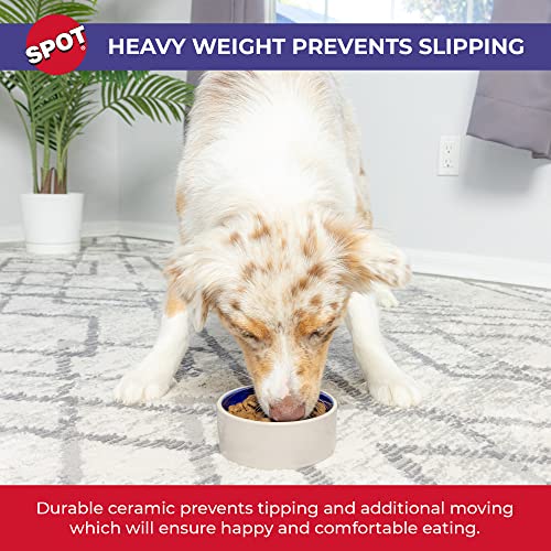 SPOT by Ethical Products – Ceramic Stoneware Pet Bowl for Cats and Small Dogs,Classic Heavy Duty Non Slip Ceramic Cat Dish Dog Bowls for Food and Water - size: 5"