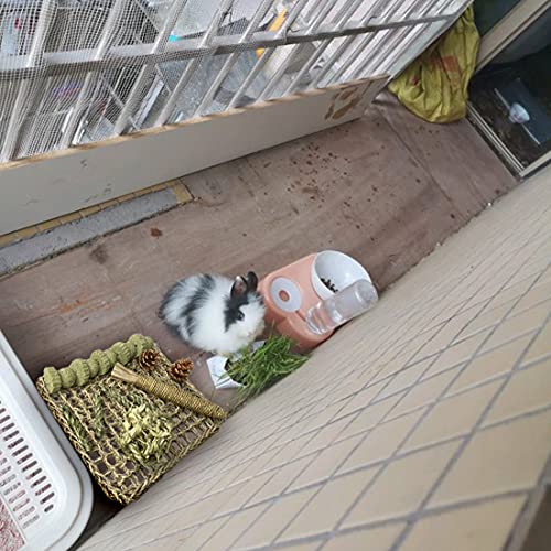 Hamiledyi Rabbit Seagrass Mat Bunny Chew Toys for Teeth Hanging Activity Mat Rabbit Enrichment Activity Mat Small Animal Toys for Hamster Guinea Pigs Gerbil Birds - color: B
