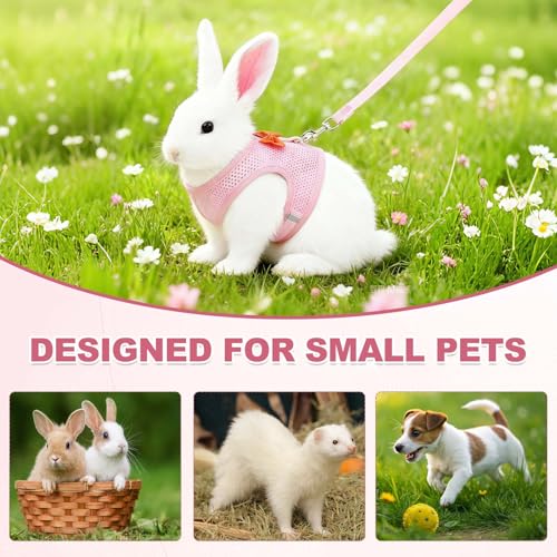 Rabbit Harness and Leash, Small Pet Cute Vest Harness Leash Soft Adjustable Buckle Breathable Mesh (M, Gray) for Bunny Kitten Small Pig Puppies Camping Hiking Training - color: Gray, size: M