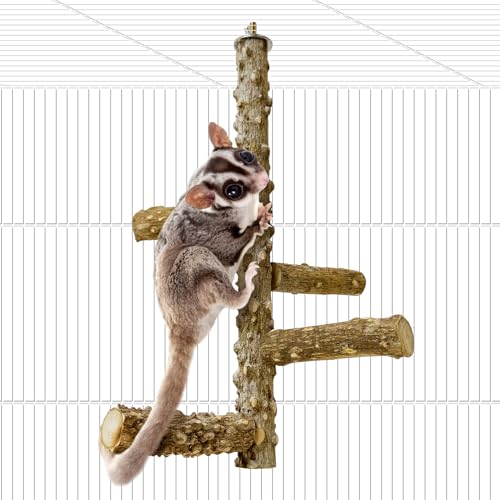 BNOSDM Sugar Glider Toy Natural Prickly Ash Wood Perch Stand Squirrel Hanging Wooden Climbing Pole Hamster Paw Grinding Perch Small Animal Cage Accessories for Chinchillas Rats Gerbil - color: Prickly Ash Wood - Climbing Perch
