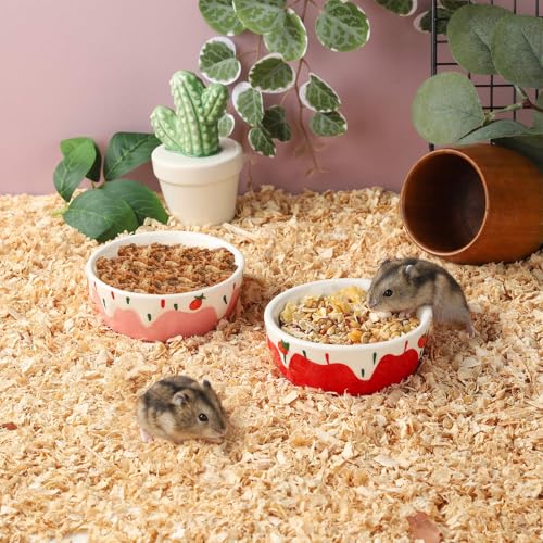 VanEnjoy 2 Pack Hamster Food Bowl Small Ceramic Water Food Bowl for Cage Small Animal Bowls for Hamster Guinea Pig Chinchilla Rabbit - Red and Pink - color: Red and pink