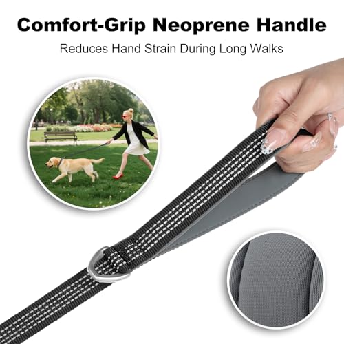 Plutus Pet Heavy Duty Dog Leash with Lockable Aluminum Carabiner, 4 FT Long | Double-Sided Reflective Nylon, Padded Handle, Heavy Duty, for Puppy Small Medium and Large Dogs (Black, 1" x 4') - color: Black, size: 1" x 4'