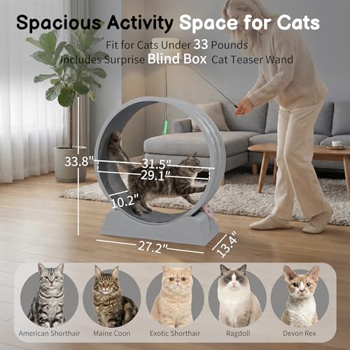 Cat Exercise Wheel for Indoor Cats, 31.5" Cat Treadmill with Detachable Carpet ＆ Locking Mechanism, Cats Running Wheel Helps Cats to Lose Weight and Keep Health, Easy Assembled (Gray)