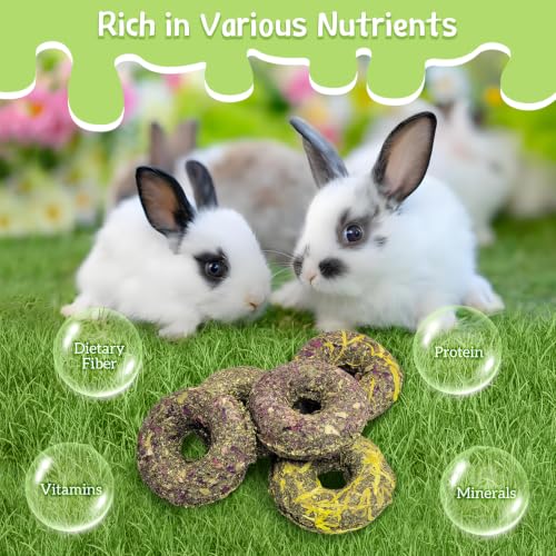 Fhiny 10 PCS Rabbit Chew Toys, Rabbit Treats with Natural Grass and Flowers, Pet Molar Grass Cakes for Guinea Pigs, Chinchillas, Hamsters and Other Small Rodents - size: 10 PCS