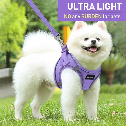 GAMUDA Small Pet Harness Collar and Leash Set, Step in No Chock No Pull Linen Fabric Soft Mesh Dog Vest Harnesses Reflective for Dogs Puppy Cats Kitten Rabbit (Purple, XXS) - color: Purple, size: XXS