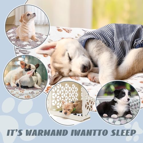 YedsIntu 6 Pcs Absorbent Guinea Pig Blankets Washable Small Animal Fleece Bedding Cage Liners Reusable Pet Pee Pad Sleep Mat Pad Cover for Hamster Ferret Rabbit Chinchilla Hedgehog (16"x24") - color: 6 Black Bulk, size: 16" x 24"