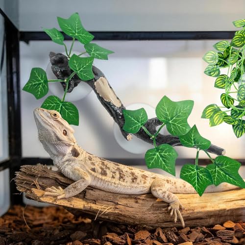CousDUoBe 12 PCS Reptile Plants Set, Reptile Corner Branch Bearded Dragon Tank Accessories Leopard Gecko Tank Accessories，Terrarium Decorations with Suction Cup