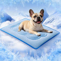 Dog Cooling Mat, Thick Cooling Mat for Dogs with PCM & Thermochromic Tech, Dual-Sided Durable Waterproof Cool Pet Bed Mat for All-Year Use, Q-Max>0.5, Machine Washable, Non-Toxic - M(19" x 29") - size: Medium
