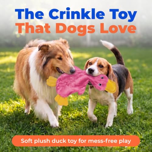 Best Pet Supplies Interactive Squeaky Dog Toy - Crinkle Duck, Pink | Stuffing Free Body, Soft, Squeaks & Crinkles, No Mess, Perfect for Moderate Chewers, Toss and Fetch Play - color: Crinkle Duck (Light Pink), size: Large