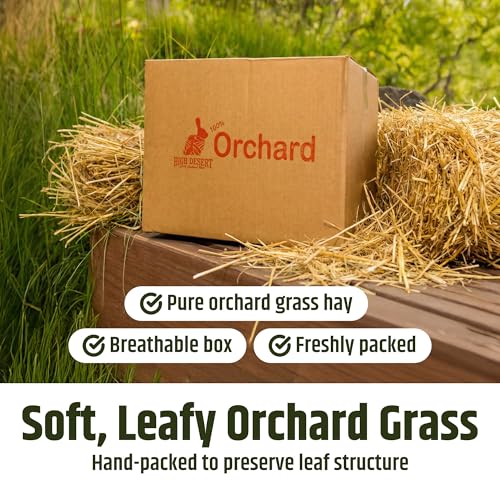 High Desert Orchard Grass Hay for Rabbits, Guinea Pigs, Chinchillas, 4 lb | Soft Leaf Low Protein Forage, Ideal For Adult Or Overweight Pets, Great Alfalfa Alternative, Hand Packed in the USA, Low Dust