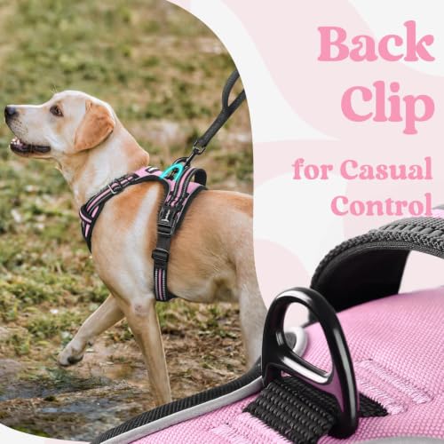 rabbitgoo Dog Harness Small Sized, Updated Easy On & Off with 3 Buckles | No Pull No Choke, Walking with 2 Clips and Handle, Adjustable Soft Reflective, Pink, Small - color: Pink, size: Small