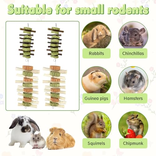 Hamiledyi 4PCS Bunny Chew Toys Rabbit Hanging Toys for Teeth Grinding Natural Apple Wood Sweet Bamboo Sticks Timothy Grass&Carrot Cake for Chewing/Improving Rodent Animals Dental Health - style: Style B