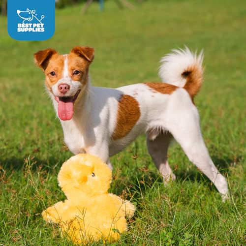 Best Pet Supplies Interactive Squeaky Dog Toy - Baby Chicken, Yellow | Stuffing Free Body, Soft, Squeaks & Crinkles, No Mess, Perfect for Moderate Chewers, Toss and Fetch Play - color: Crinkle Chicken (Yellow), size: Large