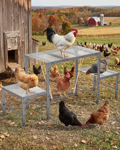 Magicfly Chicken Perch Swing in Coop for 10-12 Chickens, Easy to Assemble | Metal Chicken Roosting Bar, Multi-Level Design Chicken Ladder, Large Capacity Chicken Playground for Coops, Backyard Farms
