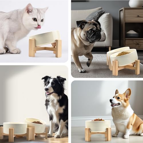 SPUNKYJUNKY 15° Slanted Ceramic Dog and Cat Bowl with Wooden Stand, Tilted Bulldog Food and Water Bowl No Slip Non-Spill for Cats Medium Dogs Big Face Pets 13.5 OZ (1.7 Cups, Beige × 2) - color: Beige, size: 1.7 CUPS × 2