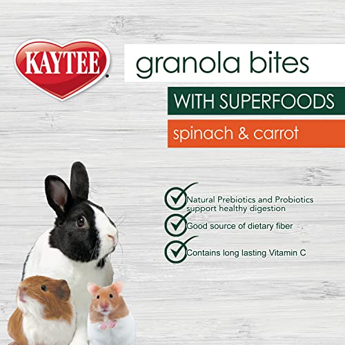 Kaytee Granola Bites with Superfoods Spinach and Carrot for Rats, Mice, Hamsters, Gerbils, Rabbits, Guinea Pigs and Chinchillas, 4.5oz - size: 4.5 Ounce (Pack of 1), style: Spinach & Carrot