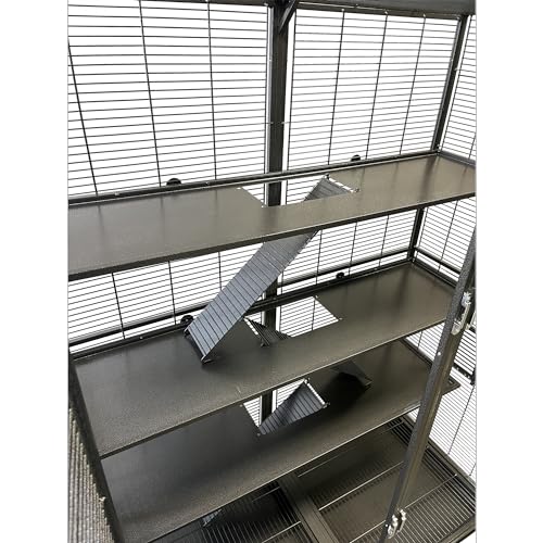 Borneo Small Animal Cage - for Sugar Gliders, Squirrels, Marmosets & Other Small Pets (Cage + Shelf & Ladder Set) - size: Cage + Shelf & ladder Set