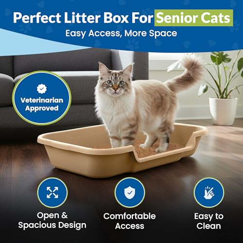KittyGoHere Senior Cat Litter Box, Large with Jumbo Scoop, Beach Sand | Open Top Low Entrance Kitty Litter Box With Long-handle Jumbo Scoop, Lightweight Low Entry Litters Box, Durable, Made in USA - color: Beach Sand, size: Large with Scoop