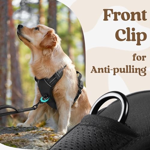 rabbitgoo Dog Harness Small Sized, Updated Easy On & Off with 3 Buckles | No Pull No Choke, Walking with 2 Clips and Handle, Adjustable Soft Reflective, Black, Small - color: Black, size: Small