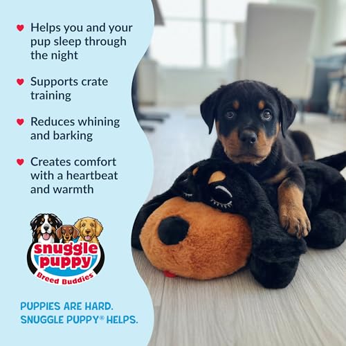 Snuggle Puppy Heartbeat Puppy Toy for Large Breeds, Breed Buddies Collection-Rottweiler, Plush Dog Toy with Real-Feel Pulse and Heat Pack for Crate Time, First Nights, and Rest - color: Large Breed Rottie