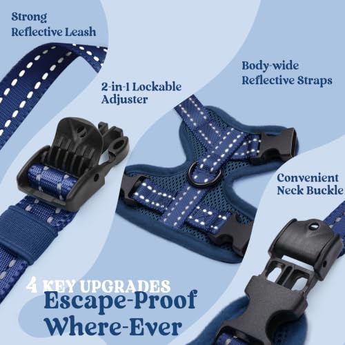 rabbitgoo Cat Harness and Leash Set, Easy-on with Neck Buckle, Navy Blue | Escape Proof, No Over-the-head, Soft Air Mesh, 3 Lockable Adjusters & Buckles, Reflective, for Kittens & Small Cats Walks, Xs - color: Navy Blue, size: Xs