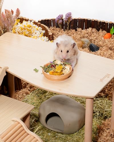 Niteangel Hamster Snack & Treats Toy: - Small Animal Natural Treat Mix for Dwarf Syrian Robo Hamsters Gerbils Mice Lemmings Degus or Other Small-Sized Pets (Vegetable Combo - 40g)