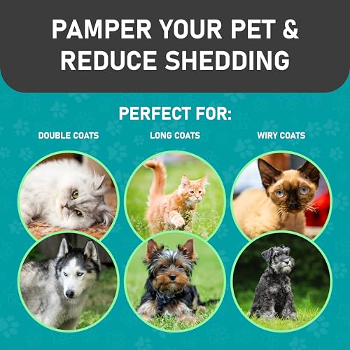 Maxpower Planet Pet Grooming Brush, Shedding Undercoat Rake, Dogs | Blue, Double-Sided Deshedding & Detangling, Rubber Non-Slip Handle, For Cats, Gloves Included - color: C1 - Brush & Gloves, size: Large