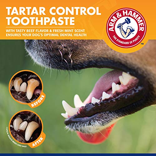 Arm & Hammer Tartar Control Dog Dental Kit, Beef Flavor, 3-Piece | Enzymatic toothpaste with toothbrush and fingerbrush, baking soda formula safe for puppies - size: 2.5 Ounce (Pack of 1)