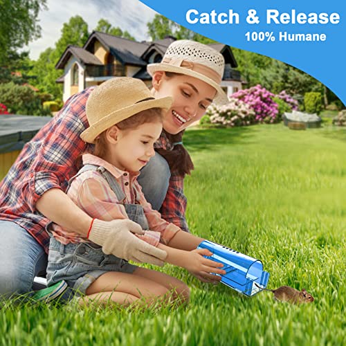 6 Pack Humane Mouse Rat Traps No Kill Live Mice Trap Indoor for Home-Blue | Catch & Release, A Bush to Clean, Safe for Child Pet Indoor Outdoor - size: Blue-6 Pack
