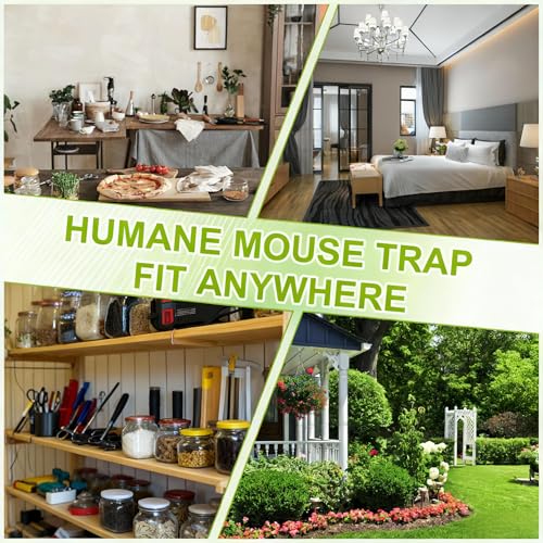 2 Pcs Humane Mouse Traps, Reusable Mice Trap Live Rat Cage Indoor Outdoor | Green, PC Material, Reusable Capture & Release, Use for Home, Waterproof - size: 2 Pack
