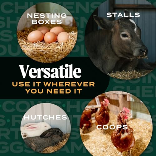 HealthiStraw FarmStraw Coarse Cut, 3 cu ft (25 lb) Expands to 10+ cu ft – Wheat Straw Bedding for Homesteads, Hobby Farms & Small Pets – Dust-Free, Absorbent, Fluffy, Insulating, Sustainably Sourced