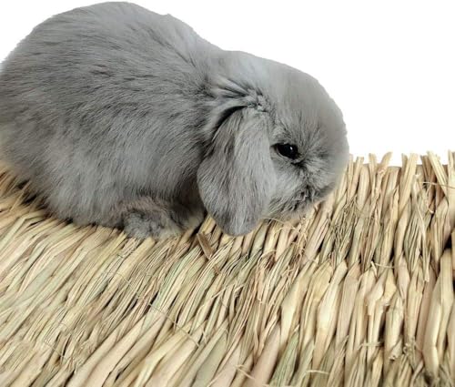 Hamiledyi 15 Pack Woven Bed Mat for Rabbits - Grass Mat & Bunny Bedding Nest - Natural Chew Toy Bed for Guinea Pig Chinchilla Squirrel Hamster Cat Dog and Small Animal