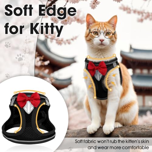 Cat Vest Harness and Leash Set, Escape Proof Kitten Harness Black XS | Safe Reflective Strips, Adjustable Easy Wear Kitty Harness, Sturdy Clip Buckle, Breathable Mesh , for Kitty Puppy Bunny Walks - color: Black, size: XS