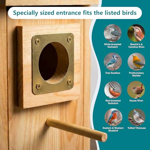 Bird Houses for Outside Clearance with Copper Guard, Cedar Bird House Outdoor, Bluebird Finch Swallow Wren Chickadee Self-Assembly Kit, 1 Pack