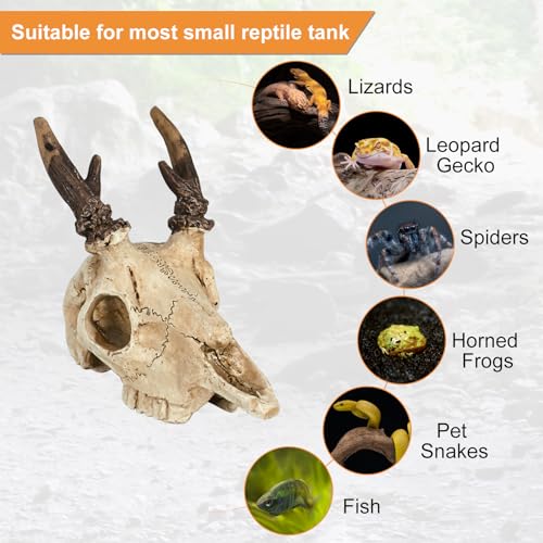 Mini Deer Skull Reptile Hide, Resin Tank Decor for Geckos, Snakes & Spiders | Realistic resin deer skull for terrarium décor; compact cave opening suits spiders, ants, Dubia roaches and other tiny pets.