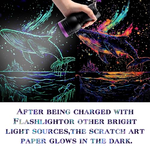 Gersoniel 8 Pack Dark Scratch Glow Art Adults Butterfly,Whale | Noctilucent Rainbow Engraving Sheets Reveal Vibrant Colors, Includes Wooden Stylus and Cleaning Brush for DIY Crafts - color: Hummingbird，butterfly
