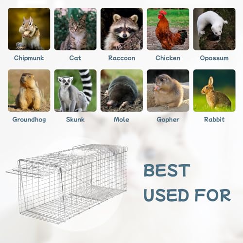 Animal Trap 26"x10"x9" Cage Trap,Heavy Duty Folding Raccoon Traps | Live Animal Cage Trap,Humane Catch and Release Stray Cats,Squirrels,Rabbits