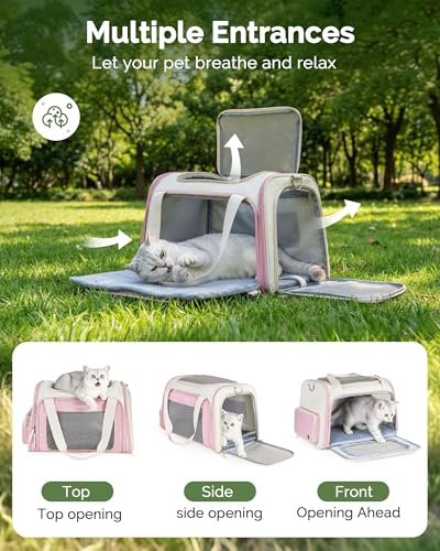 Homespon 34.5L Soft-Sided Cat Dog Carrier, Airline Approved Pet Bag | Collapsible Travel Bag with Removable Bed for Small Dogs & Cats - color: Pink