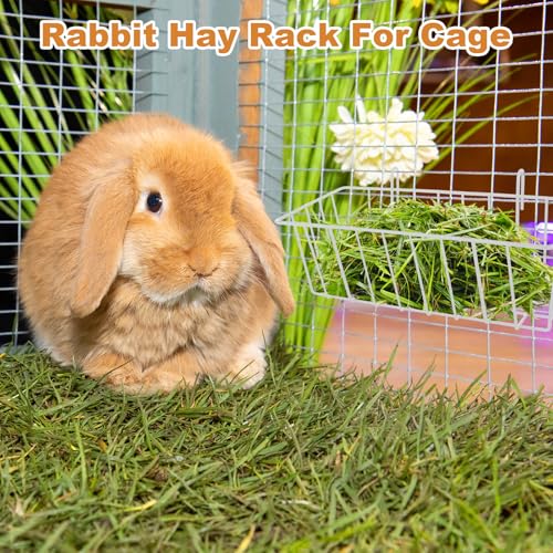 6 Pack Rabbit Hay Feeder, Heavy Duty Metal Bunny Hay Holder with Hooks, 9 x 4 x 3 Inch Hanging Hay Rack for Rabbit Cage, Guinea Pig, Chinchilla, White - color: White