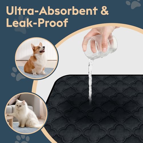 FunFurry Washable Pee Pads - 2 Pack Reusable, Waterproof, Super Absorbent Dog Training Pads with Non-Slip Backing (Dark Grey, 41" X 41") - color: Dark Grey, size: 41" X 41" - 2 Pack