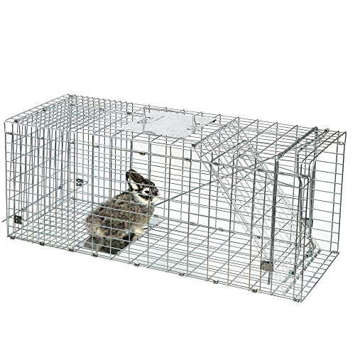 ANT MARCH 32'' Live Animal Cage Trap with Gloves Steel Humane Release | Rodent Cage Trap for Rabbits, Stray Cat, Squirrel, Raccoon, Mole, Gopher, Opossum, Skunk, Chipmunks, Groundhog
