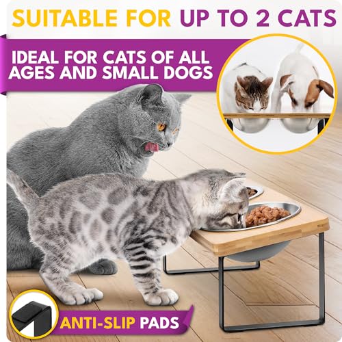 Raised cat Bowls for Indoor Cats by WinTruffles, Elevated cat Bowls, Tilted and Elevated Anti Vomiting Cat Dishes for Food and Water, Set of 2 Stainless Steel Bowl - color: 2 bowls