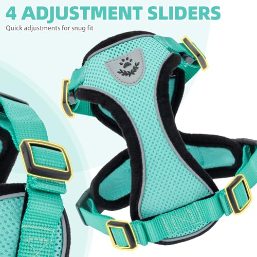 PUPTECK Cat Harness and Leash Set Escape Proof Reflective Cat Walking Harness Adjustable Soft Breathable Mesh Vest for Small Pets, Aquamarine, S - color: Aquamarine, size: S (NECK 9.5"-11", CHEST 13"-16")