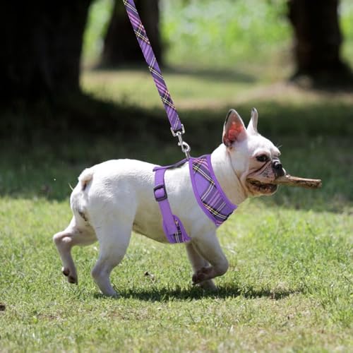 PUPTECK Soft Mesh Dog Harness and Leash Set Pet Puppy Cat Comfort Padded Vest No Pull Harnesses, Purple, S - color: Purple, size: S (NECK: 12", CHEST: 14"-18")