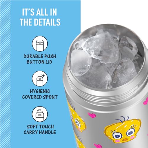 THERMOS FUNTAINER Water Bottle with Spout, 16oz, Looney Toons | Kids Stainless Steel Insulated Water Bottle, Keeps Drinks Cold Longer for School & Play, BPA-Free - color: Looney Tunes, size: 16 Ounces