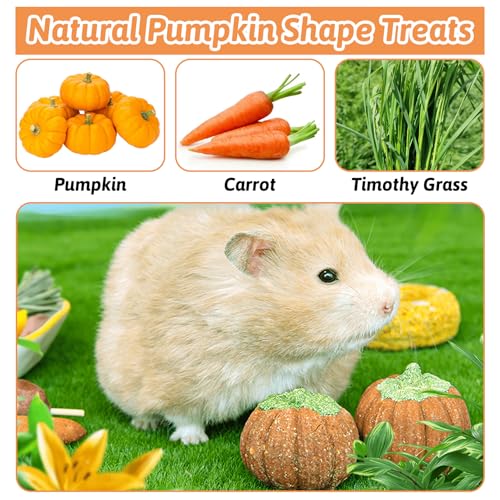 Fhiny 12 PCS Rabbit Chew Toys, Natural Pumpkin Carrot Timothy Grass Guinea Pig Chew Toys for Teeth Bunny Molar Snacks Dental Care Hamster Treats for Bunny Guinea Pig Chinchilla Hamster Gerbil - size: 12 PCS