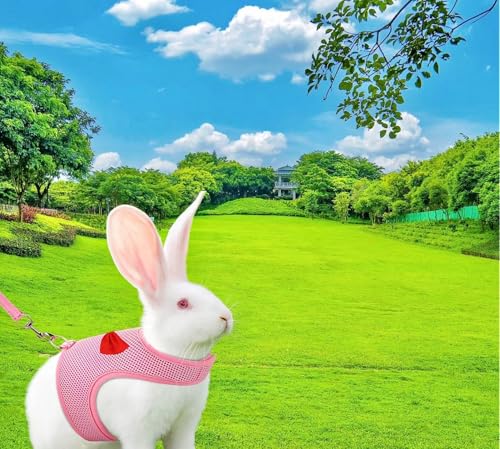 2 Pack Adjustable Bunny Rabbit Harness and Leash Set Breathable Mesh Vest Harness for Rabbits Kitten Ferret Puppy Small Pets Walking Supplies-Grey&Pink,L