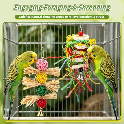 8 PCS Bird Toys & Perches Set - Natural Apple Wood & Hardwood Branches, Birch Ladder Swing, Foraging Shredding Chewing Toys for Parakeets, Cockatiels, Small Medium Bird Cage Accessories - size: Bird Toys & Perches Set