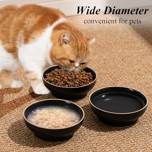 Cat Bowl, Ceramic Small Pet Bowl Pack of 3, Dishwash Safe Pet Food and Water Bowl Dishes for Small Dog, Fat Faced Cat, Kitten, Rabbits Puppy Birds(Safe Food-Grade Ceramic), White - color: White